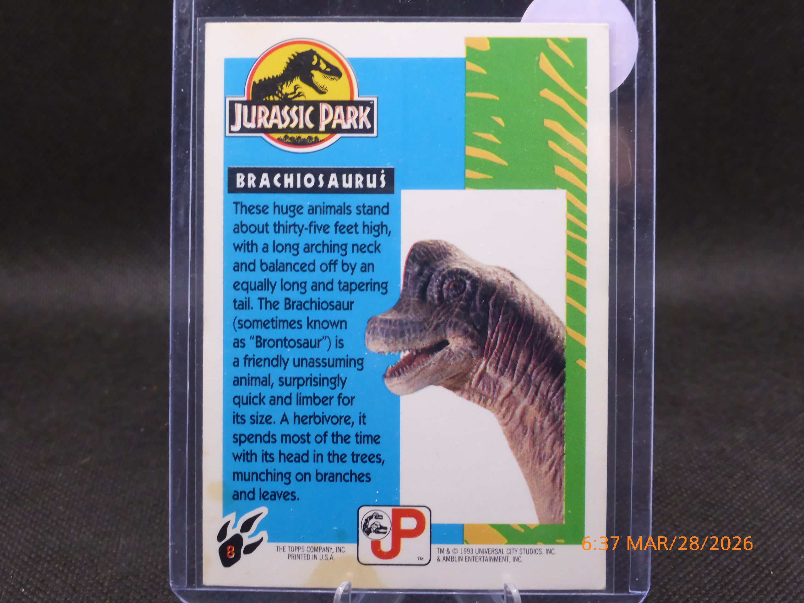 93 Topps Jurassic Park Brachiosaurus #8